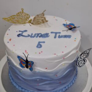 Butterfly ombre theme cake